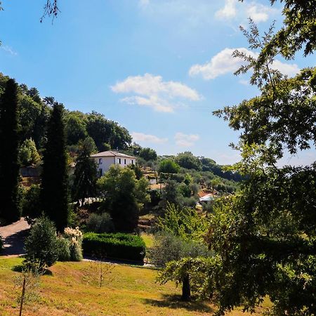 Agriturismo Terra Volonteri モンテカティーニ・テルメ エクステリア 写真