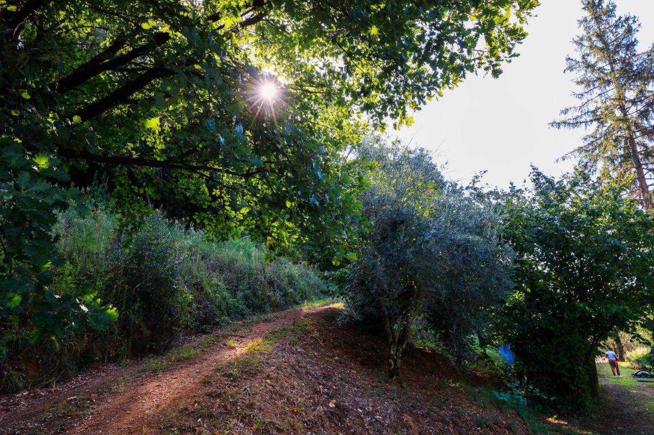 Agriturismo Terra Volonteri モンテカティーニ・テルメ エクステリア 写真