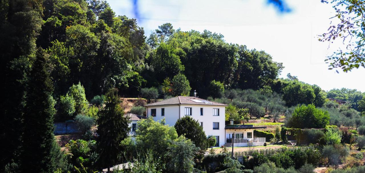 Agriturismo Terra Volonteri モンテカティーニ・テルメ エクステリア 写真
