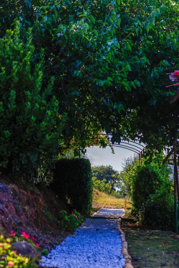 Agriturismo Terra Volonteri モンテカティーニ・テルメ エクステリア 写真