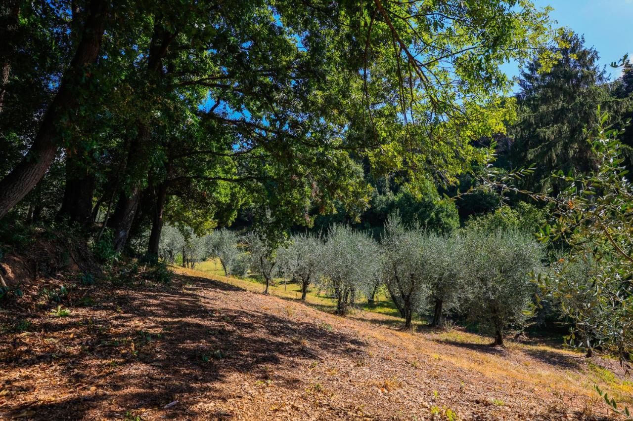 Agriturismo Terra Volonteri モンテカティーニ・テルメ エクステリア 写真