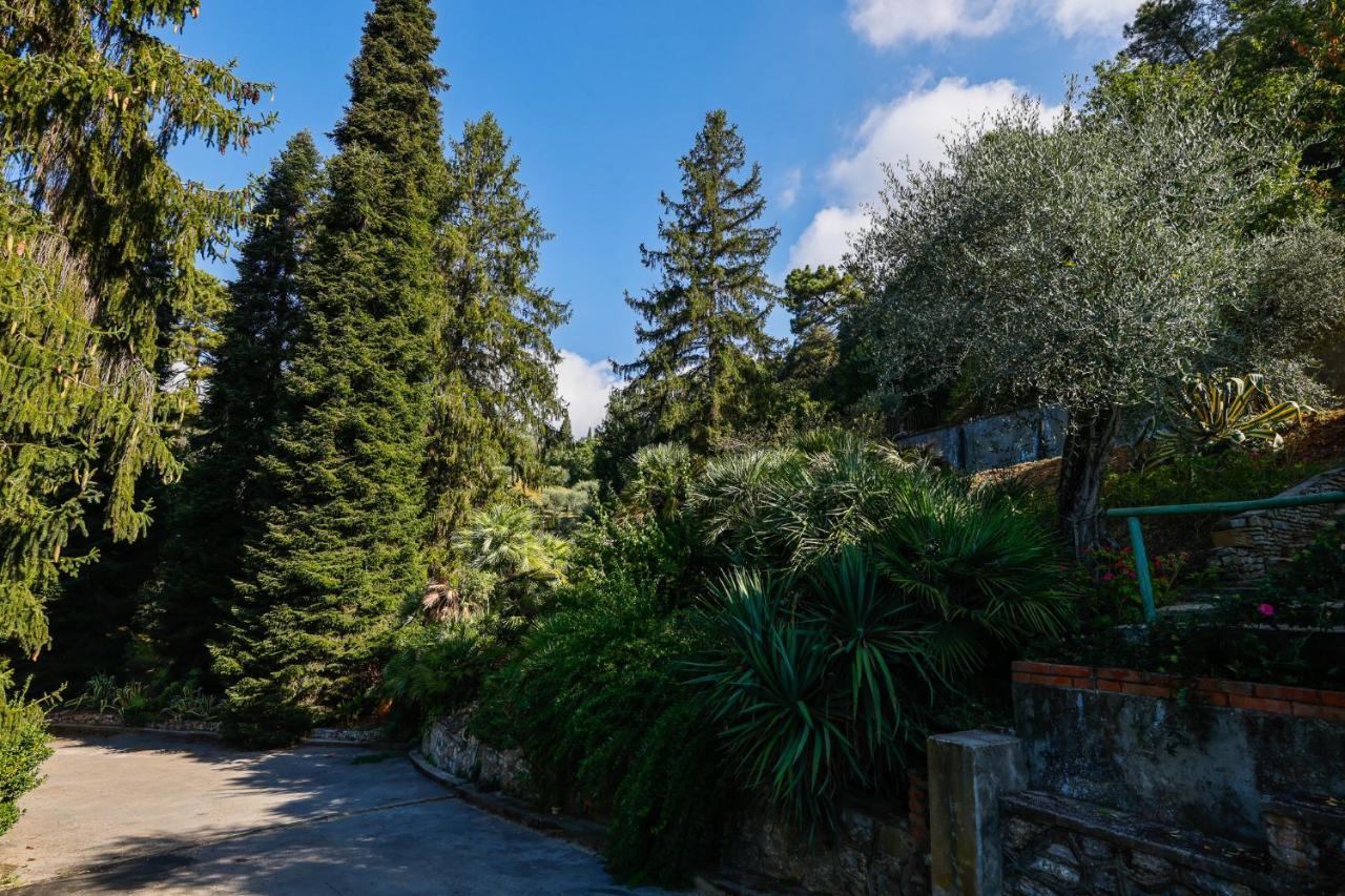 Agriturismo Terra Volonteri モンテカティーニ・テルメ エクステリア 写真