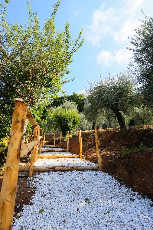 Agriturismo Terra Volonteri モンテカティーニ・テルメ エクステリア 写真