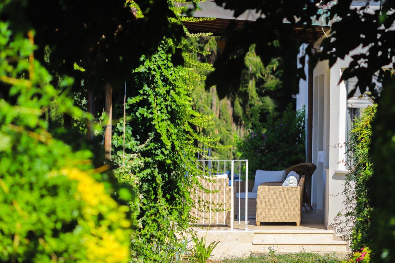 Agriturismo Terra Volonteri モンテカティーニ・テルメ エクステリア 写真