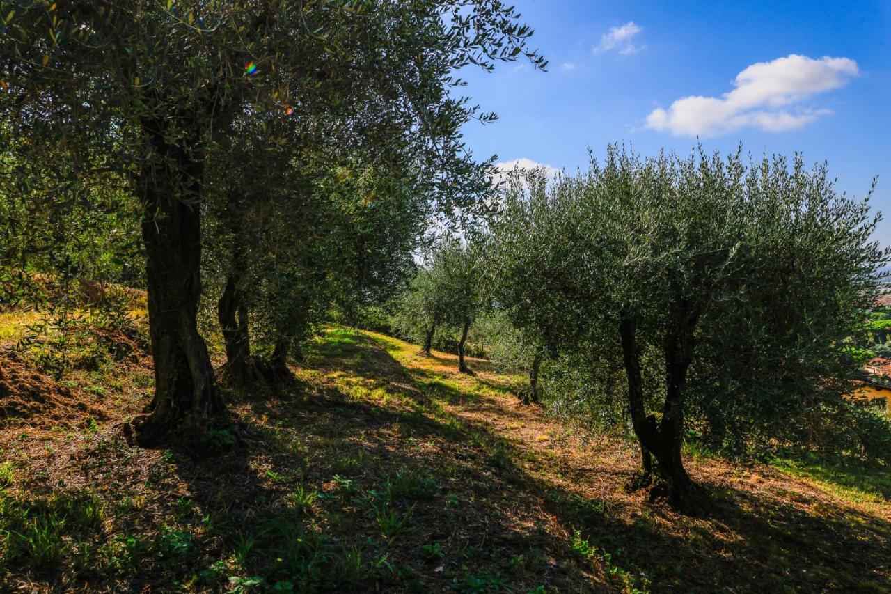 Agriturismo Terra Volonteri モンテカティーニ・テルメ エクステリア 写真